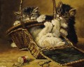 Kätzchen in einem Korb Alfred Brunel de Neuville